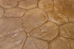 FB_IMG_1551447207172